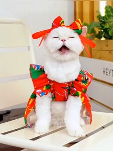 tổng hợp váy đầm trẩy hội xinh yêu dành cho chó mèo - T3 PETS SHOP
