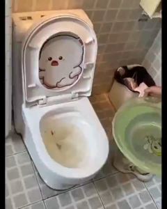 Borong365 Toilet Plunger Toilet Dredge Toilet Pump Toilet Unclogging Pelocok Tandas Pam Tandas Tersumbat 马桶疏通器