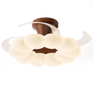 DGY | Retro Design Protective Eye Ceiling Lamp