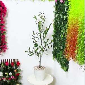 Pohon Zaitun Artificial Tanaman Buah Hias Tangkai Dekorasi Sudut Ruangan Indoor Outdoor Murah PBP214