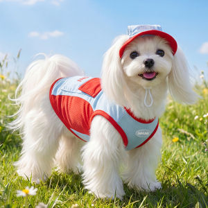 hipidog | Cool Breathable Sun Protection Dog Vest