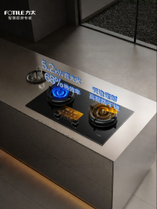 Auto Shutoff Dual Burner Gas Stove
