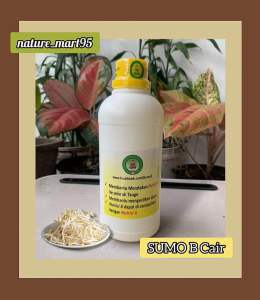 SUMO8 Cair B ( khusus Siram )( Peningkat Bobot Tauge & Pemutih organik tauge super )