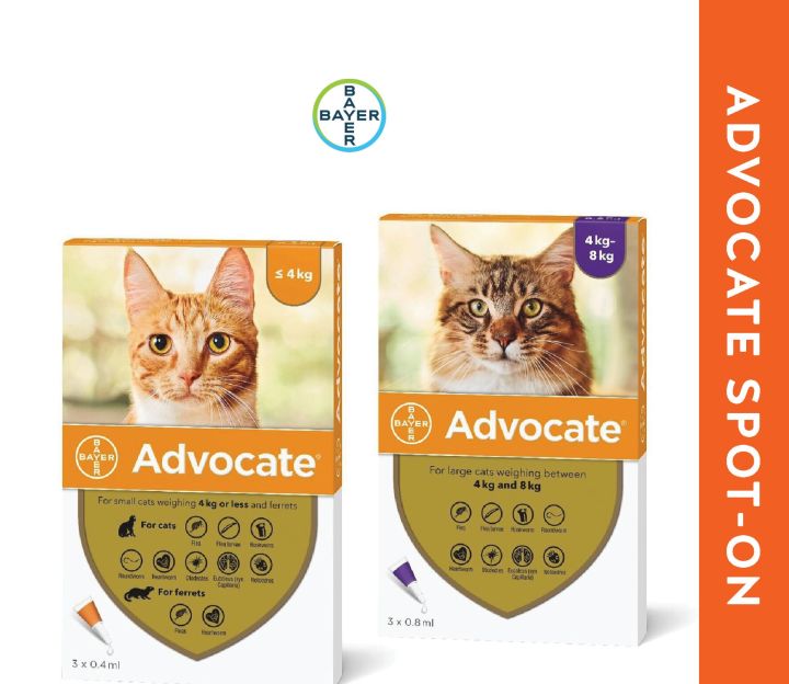 Advocate Flea Treatment for Cats Kittens & Cats up to 4kg 3 tubes (1box