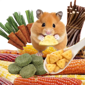 SG Stock🔥Hamster snack food nutrition small pet treats rabbit bird turtle carrot seeds cheese fish shrimp