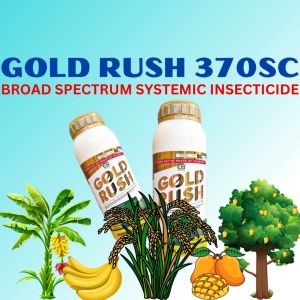 GOLD RUSH INSECTICIDE 500ML