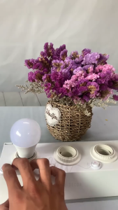 Bóng đèn LED búp bật tắt công tắc thay đổi 3 mức sáng – Bóng Led Buld MPE – Tiện lợi tiết kiệm bền bỉ – LB 9V/3DIM