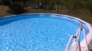 DIYMO Pool Algaecide for Swimming Pool Powder Copper Sulfate Pentahydratae Anti HCT 1kg Factory supply safe packaging