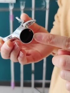 Stainless Steel Extendable Clothes Fork/Hanger