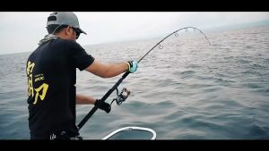 ARAFURA - YUMOSHI Reel Pancing Spinning Fishing Reel 5.5:1 Gear Ratio - Silver Blue