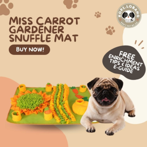 ✅[SG] MISS CARROT GARDENER SNUFFLE MAT ★ Nosework Training ★ FREE Enrichment e-Guide Worth $7★ SG Stock ★ Kopi Lobang