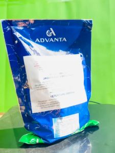 Benih Jagung Manis MADU-59 F1 isi 250gr dr Advanta F