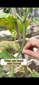 100x100cm untuk Taman Bunga Berkebun Tanaman Balkon Tanam Mat Pad Gardening Tools Ganti tanah