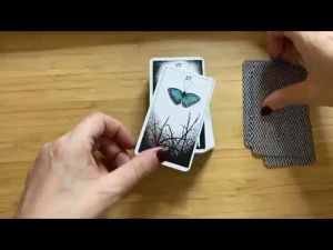 The Wild Unknown Tarot - KZ212