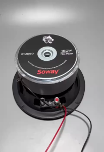 Loa bass sub 16 SOWAY - từ kép 120 côn 39 mặt logo nổi - giá 1 cái - hàng nhập