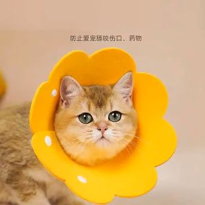 Collar Kucing Pelindung Leher Kucing Felt Circle Pet Sun Flower Elizabeth Collar/Elizabeth circle