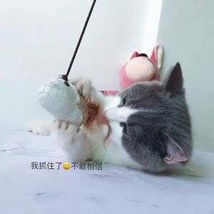 Teaser Stick B 40CM Premium Cat Toy Mainan Kucing Ball Bell Scratch Flexible Kitten 逗猫棒