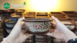 Pot Keramik Bonsai Small