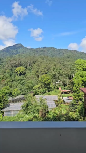 KOPIN 6 pasang cangkir teh/coffe set KPC-04 Motif motif Irvine Lime