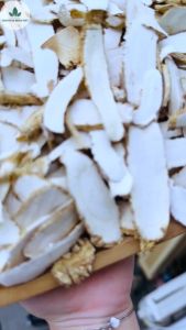 Bạch chỉ khô 1kg thái lát mỏng trắng thơm hỗ trợ sức khỏe - Chợ Thảo Dược Việt