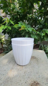 02/04 Chậu Lá Kim 18x18cm Màu Trắng Nhựa Dày Đẹp Trồng Hoa Để Bàn Ban Công