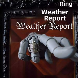 XUANDOYAN | Anime JoJos Bizarre Adventure Collectible Ring