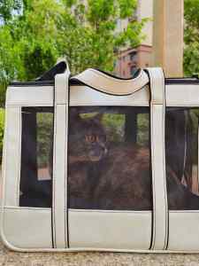 EDENPETZ Fashion Pet Carrier Bag Breathable Mesh PU Leather Load 7KG Large Travel Dog Carry Bag Cat Handbag