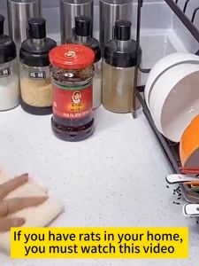 10 Years Without Mice 🐀 USA Rat Repellent Spray: Your Ultimate Solution for Mice, Cockroaches, and More