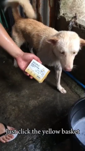 [Buy 1Take 2]Akiika Herbal Pet Soap 100% Natural Handmade Sterilization Anti-Parasitic Deodorization