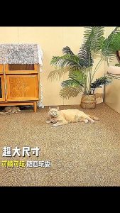 50X80cm Japanese Pet Anti-sisal Carpet Durable Anti-scratch Pad Sleeping Bed Mat Four Seasons Universal