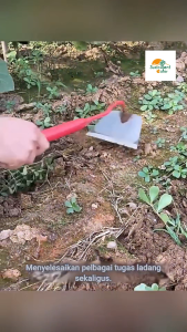 Garden Steel Hoe Planting Weeding and Soil Loosening 钢锄头除草松土