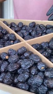WHOLESALE - KURMA DATES AJWA VIP ALIYAH MADINAH QUTOOF 5KG - WHOLESALE