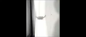 #LKLP 1Pcs Langsir Magnet Curtain Magnetic Belt Woven Rope Imitation Pearl Buckle Free Punch Back Clip