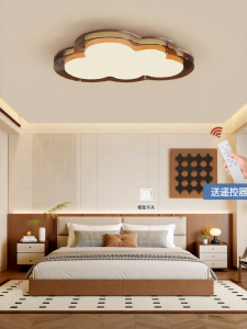 PAIMIJI | New Retro Creative Cloud Ceiling Light
