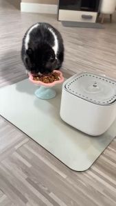 TRUSTY แผ่นรองชามอาหารสัตว์เลี้ยง แผ่นรองชามแมว สุนัข เก็บล้างทำความสะอาดง่ายอุปกรณ์สำหรับสัตว์เลี้ยง pet supplies No.3579