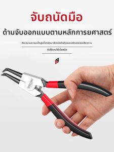 DELIXI Electric | Industrial Grade Small Retaining Ring Pliers