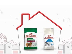 Royal Canin indoor 4kg สำหรับแมวโตถุง4kg