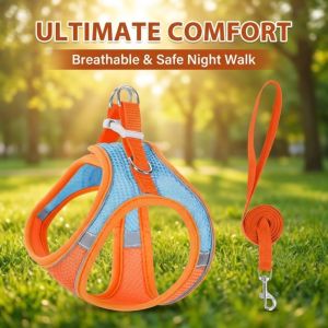 Adjustable Reflective Pet Harness and Leash. Comfortable and Breathable Suitable for All Types of Cats and Dogs for Outdoor Use.
