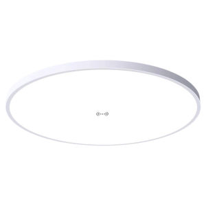 Automatic Induction LED Light Stairwell Ceiling Mounted Radar Sound Control Lampway Entrance Hallway Human Body Sensor Light