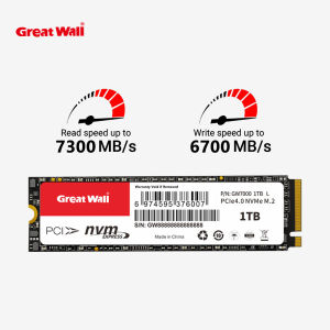 Great Wall | Great Wall M2 PCIe 4.0 SSD 1TB 2TB M.2 SSD PCIe4.0 NVME Solid State Drive 4TB Internal Hard Disk for Desktop Laptop PS5