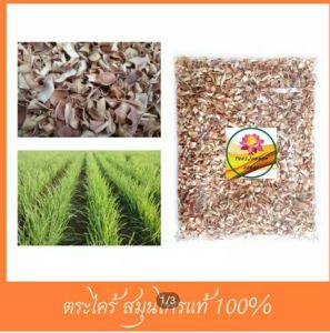 ตะไคร้ ตะไคร้อบแห้ง  ตะไคร้แห้ง Dried Lemongrass ขนาด  1000 กรัม