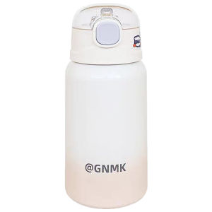 Modern Minimalist Insulated Stainless Steel Straw Cup Portable Small Cute Office Water Bottle for Students And Business Women