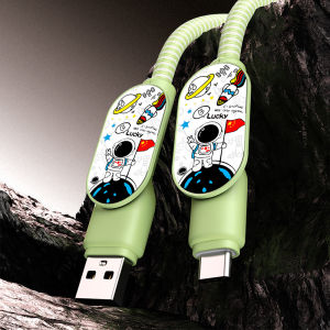 Android Huawei Xiaomi OPPO Charger Protection Case Silicone Anti-Break Cartoon Bite Wire Repair Data Cable Organizer