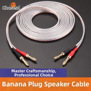 Choseal | Professional Surround Sound Speaker Cable Banana Plug Audio Cable