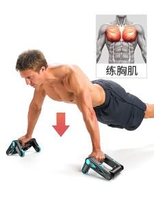 Foldable Gym Roller AB Carver Portable Abdominal Workout Pair Exercise Fitness Yoga Wheel Stable Muscle Training Tools