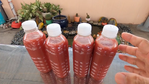 [APP FREESHIP 30K] 350ml Vi khuẩn quang vi khuẩn PSB vi sinh tươi (HÀNG MÀU ĐỎ ĐẬM)