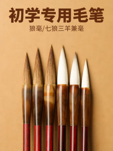 Professional Grade Medium Size Brush Pen for Calligraphy Practice And Chinese Painting Ideal for Beginners And Adults