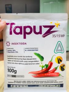 Insektisida kontak dan lambung TAPUZ 35/15WP dr Royal Agro