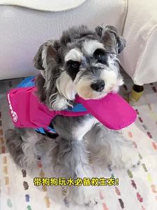 hipidog | Dogs Swimming Jacket For All Sizes