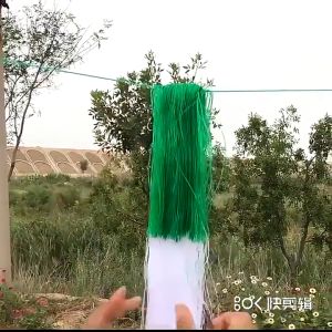Garden Plant Climbing Net cucumber vegetables trellis net White Nylon Support Mesh 2MX100M